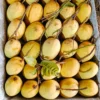 কাটিমন (10kg)