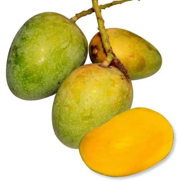 গোপালভোগ (10kg)