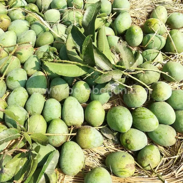 গোপালভোগ (10kg)