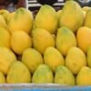 গোপালভোগ (Gopalbhog) 10KG