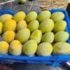 গোপালভোগ (Gopalbhog) 10KG