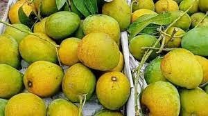 গোপালভোগ (Gopalbhog) 10KG