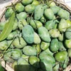 আম্রপালি (10kg)