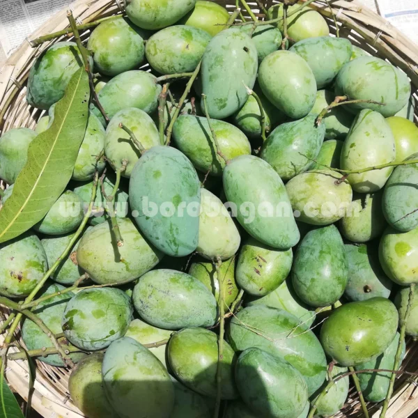 আম্রপালি (10kg)