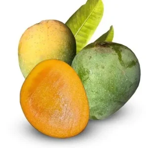 খিরসাপাত (10kg)