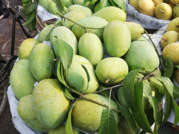 ফজলি (10kg)