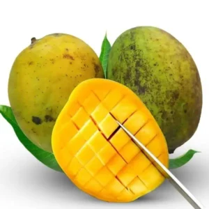 ল্যাংড়া (10kg)